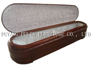 glass frame coffin